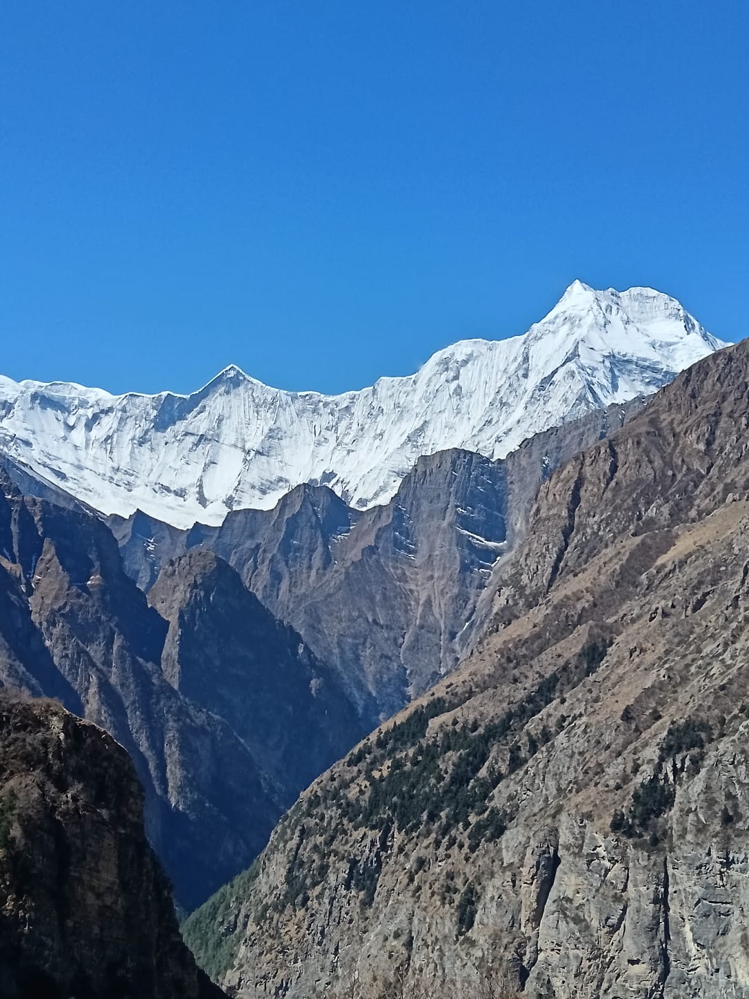 Annapuran round trek